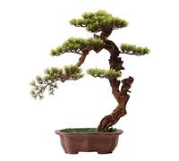 GTHTUHFD Albero artificiale bonsai artificiale per interni, albero di pino accogliente, pianta decorativa in vaso con vaso in ceramica, ornamento da scrivania finto albero artificiale Indo