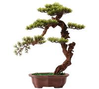 GTHTUHFD Albero artificiale di pino artificiale bonsai pianta artificiale in vaso adatta per casa, ufficio, scrivania, soggiorno, decorazione, ornamenti albero artificiale per interni