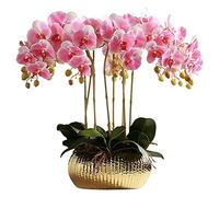 GTHTUHFD Orchidee Artificiali Realistiche, Orchidee Classiche, Composizione di Piante Artificiali, Fiori di Phalaenopsis Artificiali, Vaso di Fiori Artificiali,Pink