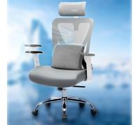 GTPLAYER Sedia da ufficio ergonomica [vincitore del test] - con poggiatesta 3D e supporto lombare 3D - braccioli regolabili - Sedia da ufficio con funzione ribaltabile e inclinazione, grigio