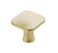 GTV - Pomello PIAZZA in ottone 30 x 30 mm, pomelli per mobili con viti, pomelli per armadi, cucina, cassetti, maniglie per mobili, conchiglia: zincato, dipinto