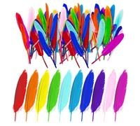 GTYHH 100 Pezzi di Piume Colorate, Piume per L'Artigianato, Materiali Decorativi Fai-da-Te, Possono Essere Utilizzati per Realizzare Copricapi, Pendenti, Orecchini, ECC.