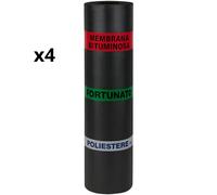 Guaina Bituminosa Poliestere 4 mm Impermeabilizzante CASASCIUTTA 4 Rotoli 1x10 m