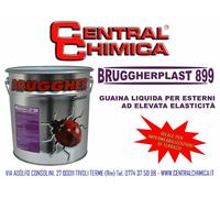 Guaina Liquida Impermeabilizzante per Tetti e Terrazzi Uso Professionale