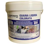 Guaina Liquida Impermeabilizzazione Protezione Riparazione Balcone Tetto Bianca
