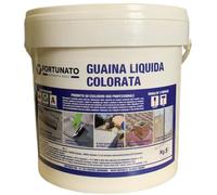 Guaina Liquida Impermeabilizzazione Protezione Riparazione Balcone Tetto Grigia