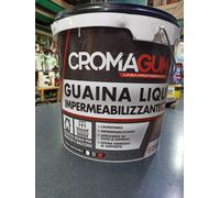GUAINA LIQUIDA LT 13 BLOCCA LE INFILTRAZIONI DELL'ACQUA -TETTI COL.BIANCO