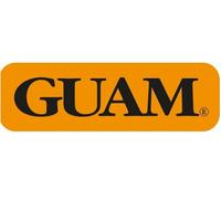 Guam Panty Ventre Piatto Colore Nero con Microcapsule di Alghe Marine E Caffeina (XS/s (38-40)), Color Nero, 160 g