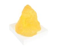 Guangcailun Modello di tessuto adiposo umano in silicone per lezioni di anatomia, nutrizionista, compatto e morbido, per istituti formazione a scopo didattico. Dimostrazione per