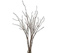 Guangzhou YanQing International Trade Co.,LTD Ramoscelli secchi artificiali, realistici, 66 cm, pieghevoli, in plastica, per composizioni fai da te, vasi, casa, ufficio, decorazione per feste, 5 pezzi