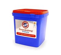 Guano Kalong di Pipistrello (Polvere) 25KG
