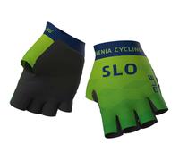 Guanti Ale Nazionale Slovenia 2024 L / Verde