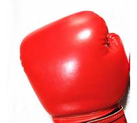 Guanti Box Bambino Da Kickboxing Per Bambini Guantoni Boxe Ragazze