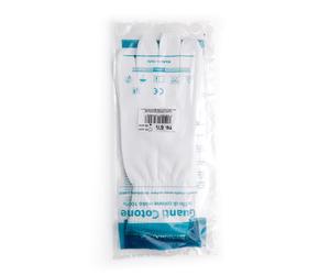 GUANTI CHIR FELP 6,5 RICCI
