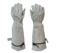 Guanti da cactus, guanti giardinaggio a prova di spine for movimentazione potatura rosa e(White*XL)