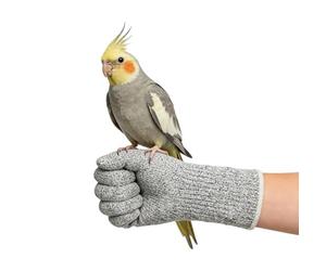 Guanti da colloquio per gatti | Protezione antigraffio multiuso | Guanti protettivi per gatti - per addestramento , lavoro, giardinaggio, campeggio, sicurezza, veterinario