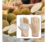Guanti da giardinaggio Durian, , Guanti da diserbo e piantagione per donne