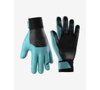 Guanti Dynafit Tigard Leather PrimaLoft celeste - S