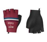 Guanti Eroica TIMO bordeaux