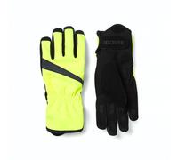 Guanti lunghi da donna Sealskinz Bodham Vert