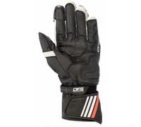 Alpinestars guanto pista GP Plus R V2 - 12 BlackWhite L