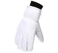 Guanti Sci Donna Uomo Impermeabili Touch Screen Guanti Moto Invernali Antivento Gloves Winter Snowboard Antiscivolo Sottoguanti Sportivi da Neve Termici Spessa per Running Calcio Ciclismo Trekking