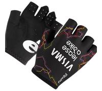 Guanti TEAM VISMA LEASE A BIKE The Trilogy 2026 nero
