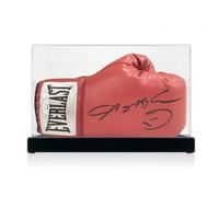 Guantone da boxe firmato da Sugar Ray Leonard. Vetrina