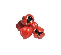 Guaranà In Semi Torrefatti Da 100 G