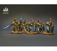 Guardia Custode Adeptus Custodes COMMISSIONE dipinto