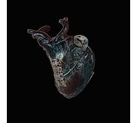 Seamus Blake Guardians of the Heart Machine (Vinyl LP) 12" Album