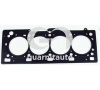 GUARNITAUTO Guarnizione Coperchio Testata per Renault Megane Scenic JA0 1 1.6