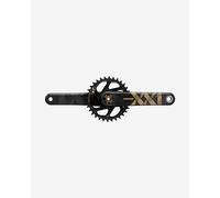 Guarnitura SRAM XX1 Eagle DUB BOOST Direct Mount 34D dorato - 170