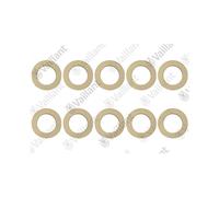 GUARNIZIONE ( 10 PZ ) RICAMBIO CALDAIE ORIGINALE VAILLANT CODICE: mts0020107800