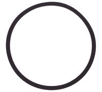 GUARNIZIONE 16 CM - GUARNIZIONE FR 16 WP