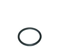 Guarnizione 43mmØ per Gruppo Pistoni Fermentazione Macchina da Caffè Electrolux