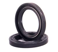 guarnizione a labbro del paraolio, ID 20-28mm TC/FB/TG4, anello di tenuta olio nero, guarnizione a doppio labbro in NBR for a 'albero rotazione(22x50x10mm 2Pcs)