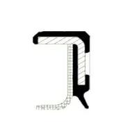 Guarnizione albero pompa iniezione PTFE (Politetrafluoretilene) 20029770B