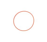 Guarnizione, alloggiamento collettore di aspirazione ELRING 773.860