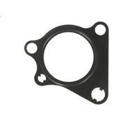 Guarnizione, alloggiamento collettore di aspirazione ELRING CLASSE G 3 2010-2023