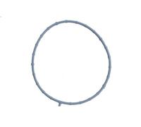 Guarnizione, alloggiamento collettore di aspirazione ELRING per MKX 3.5 2006-201