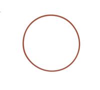 Guarnizione, alloggiamento collettore di aspirazione ELRING per TT 3.2 2003-2006