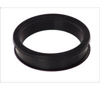 Guarnizione, alloggiamento del filtro aria DT SPARE PARTS per T 11.705 2004-2005