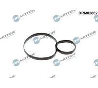 Guarnizione alloggiamento filtro olio DRM02862 Dr.Motor Automotive per OPEL