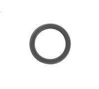 Guarnizione, alloggiamento filtro olio HANS PRIES 117 384 per A5 (8T3) 2 2008-