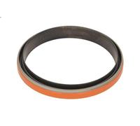 Guarnizione blocco motore CORTECO 19035867B per CASE IH MAXXUM 3.9 1990-1996