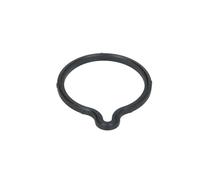 Guarnizione BOSCH F 00R 0P0 085