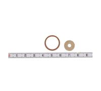Guarnizione BOSCH F 00R 0P1 462