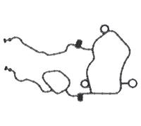 Guarnizione, cassa di distribuzione