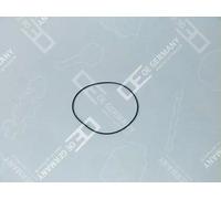 Guarnizione cilindro FPM (Fluoro-Caucciù) 04 0111 226001 OE Germany